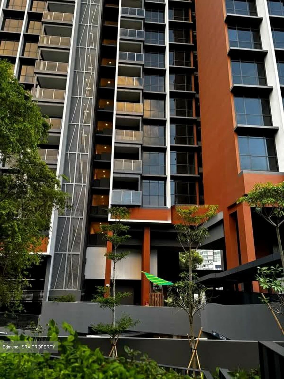 Bartley Vue (D19), Apartment #556193421